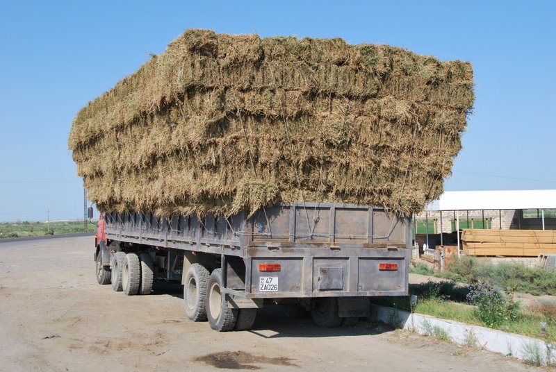 Azerbaijan-Lankaran/HayLoadedTruckDSC_0018.JPG