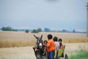 Bulgaria/Gypsies_DSC_0561.JPG Bulgaria/Gypsies_DSC_0561.JPG