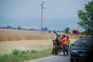 Bulgaria/donkey_DSC_0560-1.JPG Bulgaria/donkey_DSC_0560-1.JPG