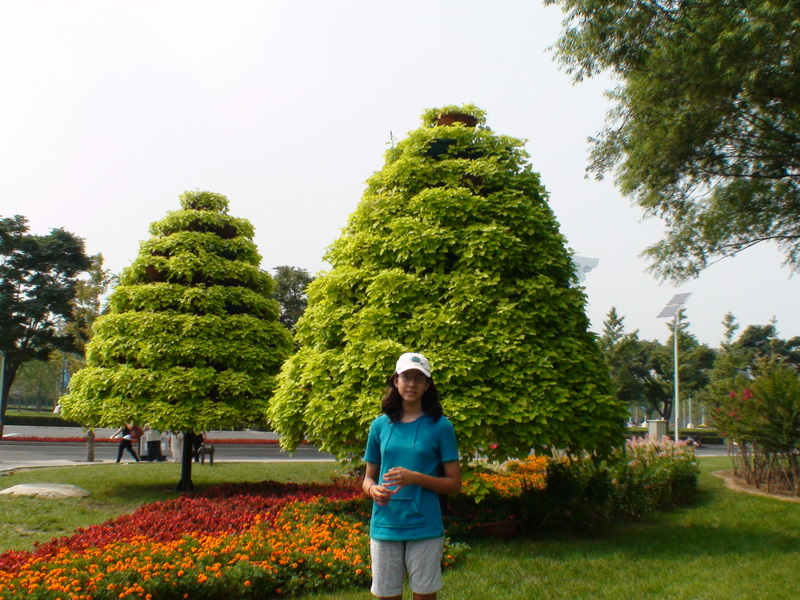 China-Olympics/PEK_OL_LTtree_DSC00499.JPG China-Olympics/PEK_OL_LTtree_DSC00499.JPG
