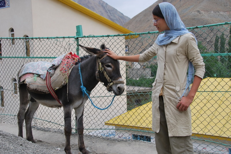 Iran-Tehran-Vicinity/IR_THR_N_LT_donkey_DSC_0591.JPG Iran-Tehran-Vicinity/IR_THR_N_LT_donkey_DSC_0591.JPG