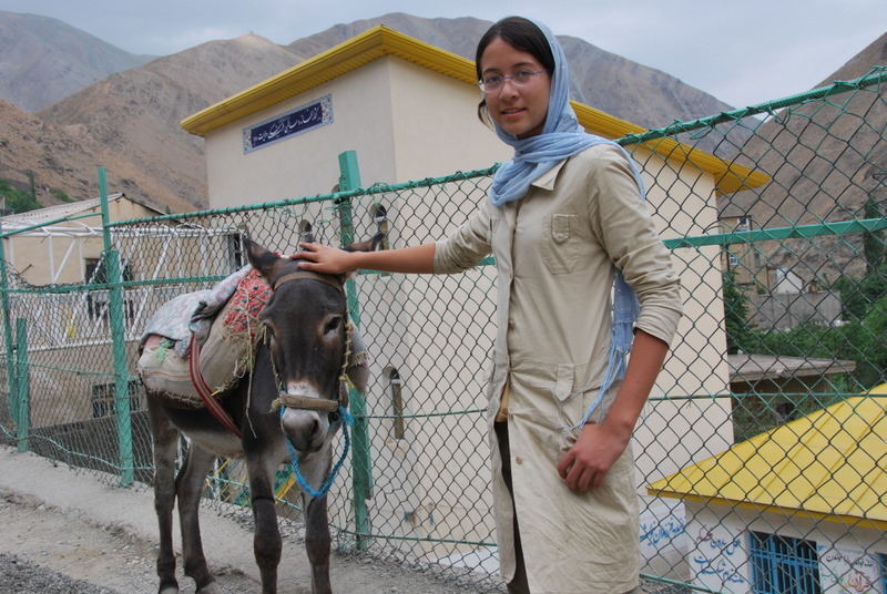 Iran-Tehran-Vicinity/IR_THR_N_LT_donkey_DSC_0594.JPG Iran-Tehran-Vicinity/IR_THR_N_LT_donkey_DSC_0594.JPG