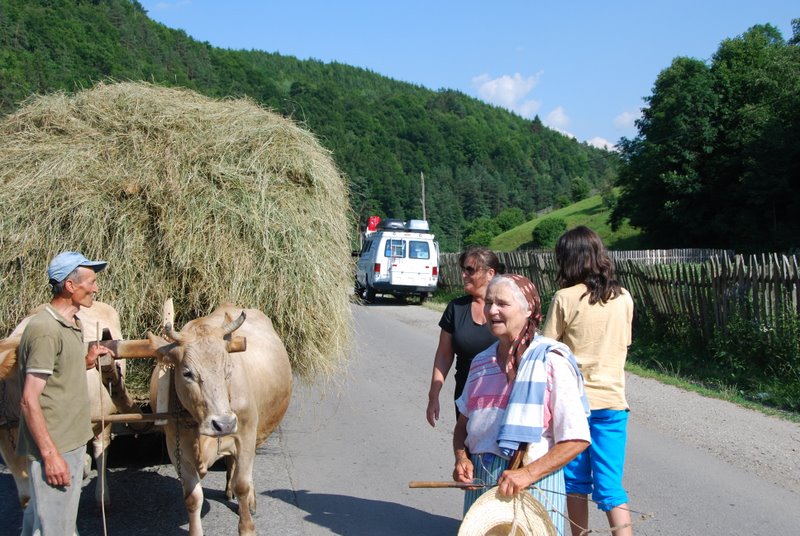 Romania/DSC_0419.JPG