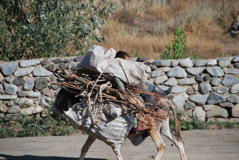 Turkey-RT-enroute-ERZ/TR_toERZ_boy1_DSC_1004.JPG