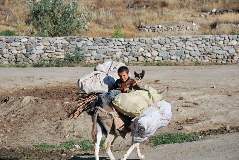 Turkey-RT-enroute-ERZ/TR_toERZ_boy4_DSC_1001.JPG Turkey-RT-enroute-ERZ/TR_toERZ_boy4_DSC_1001.JPG