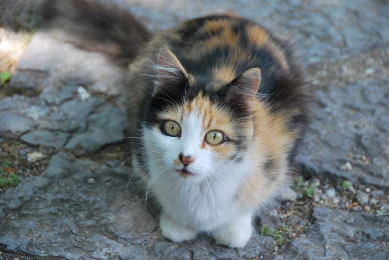 Turkey/DSC_0662.JPG