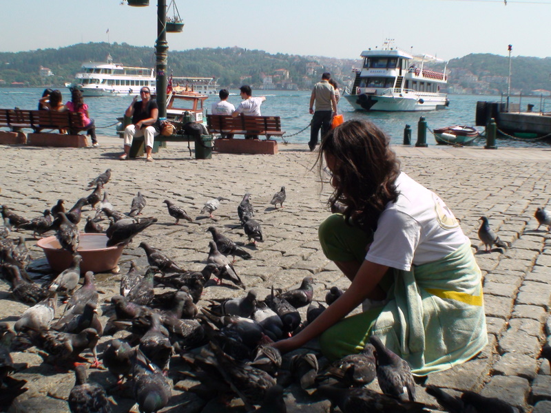 Turkey_RT_Istanbul_HTL/TR_IST_LtPgon2_DSC00431.JPG Turkey_RT_Istanbul_HTL/TR_IST_LtPgon2_DSC00431.JPG