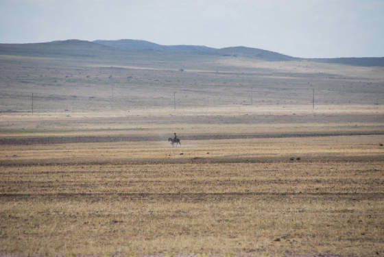 Turkey_RT_NE_Kurd/tr_kurd_manDnky_DSC_0821.JPG Turkey_RT_NE_Kurd/tr_kurd_manDnky_DSC_0821.JPG