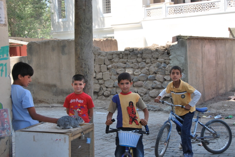Turkey_RT_NE_Kurd/TR_Dbyzd_Chldrn1_DSC_0786.JPG