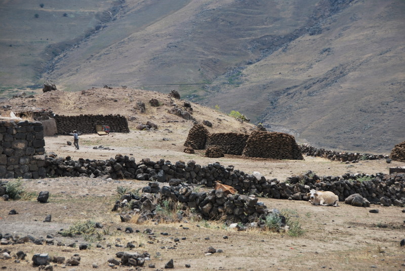 Turkey_RT_NE_Kurd/TR_kurd_vllgeDung_DSC_0903.JPG
