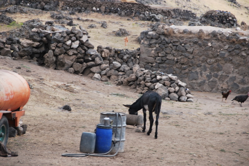 Turkey_RT_NE_Kurd/TR_kurd_vllge_DSC_0892.JPG
