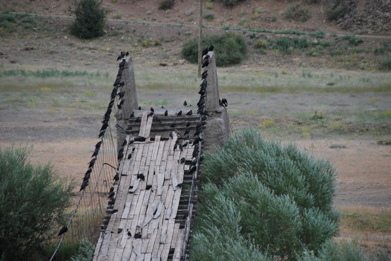 Turkey_RT_Sivas/TR_Erz_brg3_DSC_0003.JPG Turkey_RT_Sivas/TR_Erz_brg3_DSC_0003.JPG